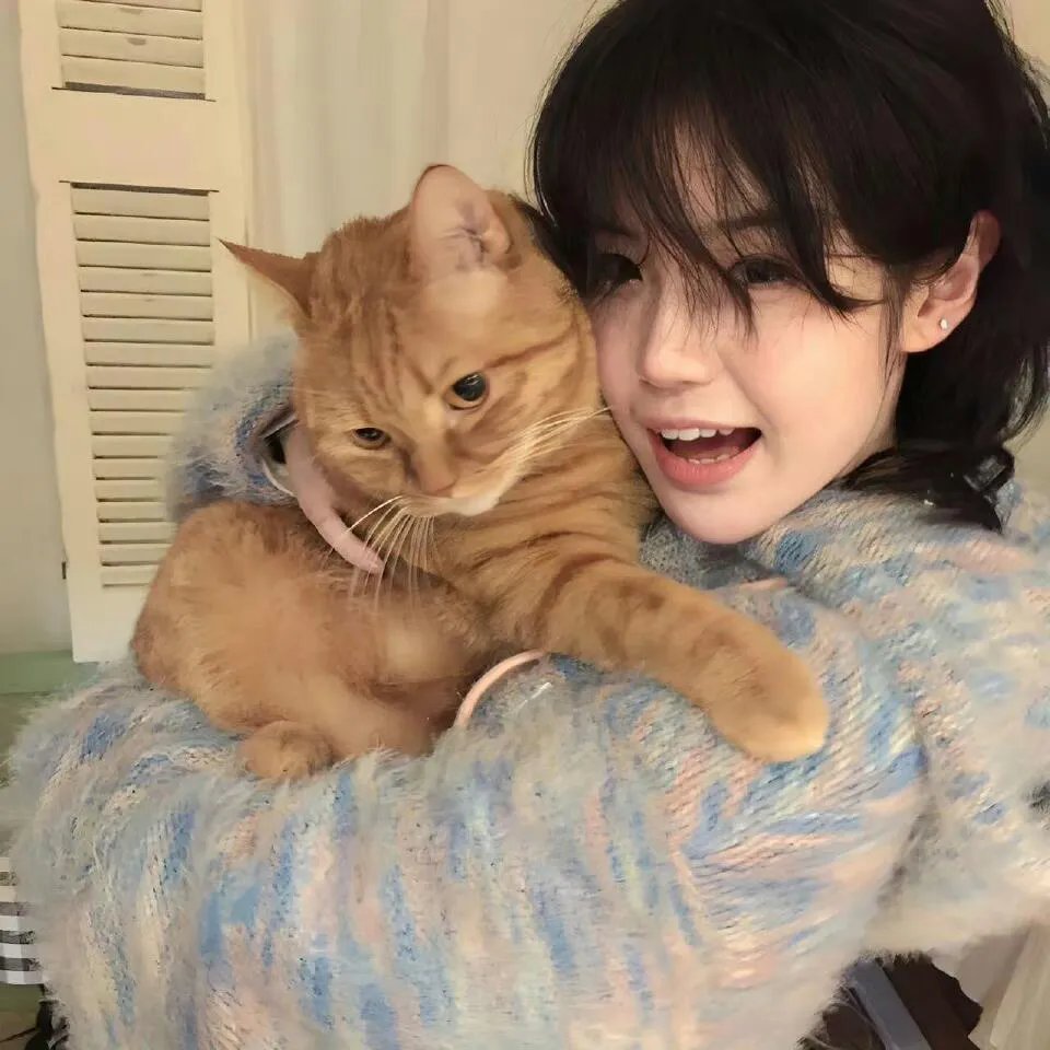 蜡笔小新：奇异乐园大冒险